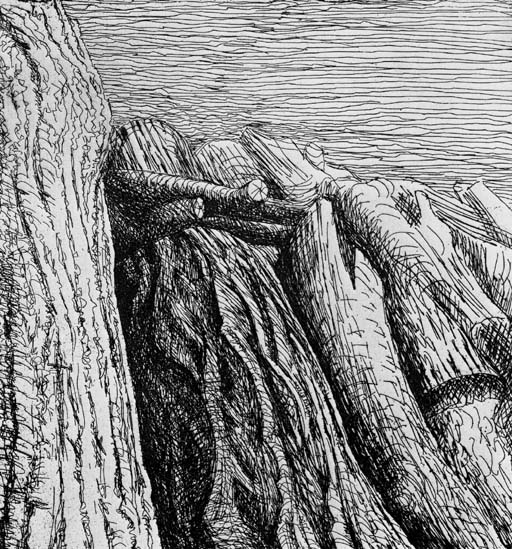 Log Pile I-III 
