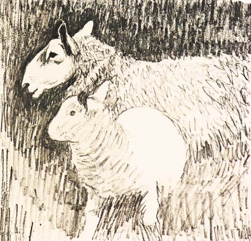 Sheep and Lamb 
