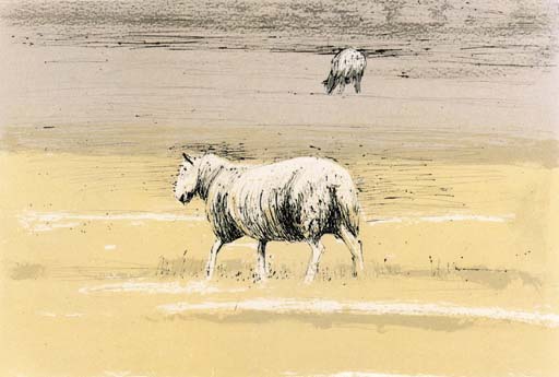 Sheep in Field 

