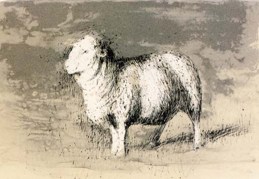 Sheep in stormy Landscape 
