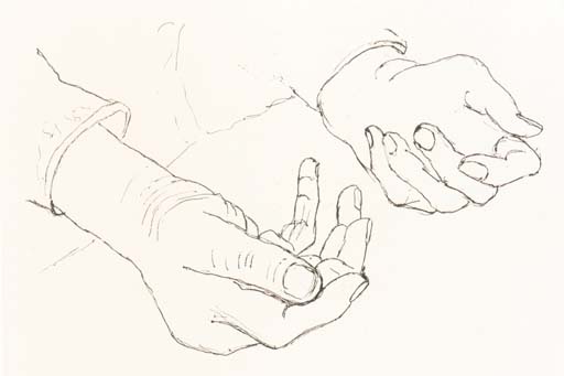 Hands of Dorothy Crowfoot Hodgkin I-V 

