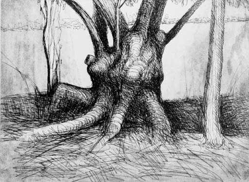 Trees 
