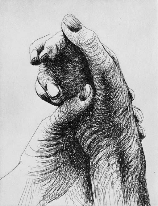The Artist's Hand 
