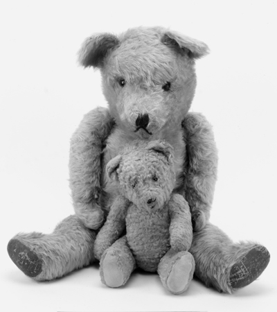 english teddy bear