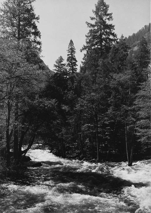 Merced River, Yosemite 
