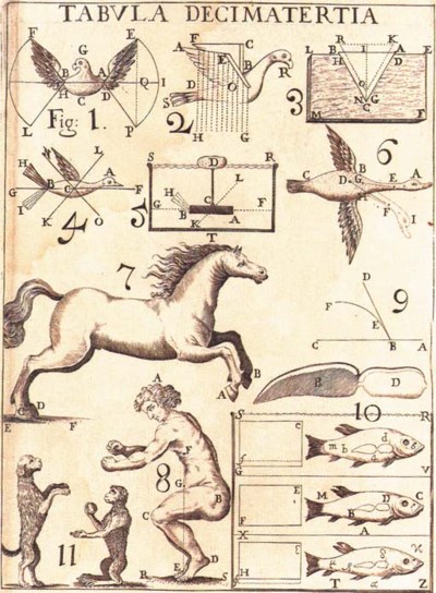 BORELLI, Giovanni Alfonso (16081679). De motu animalium . Rome Angelo
