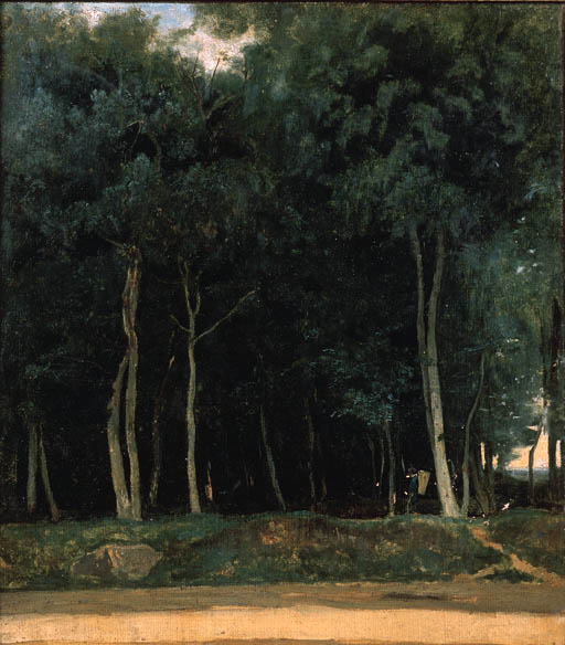 Fontainebleau, route du Bas-Bréau 

