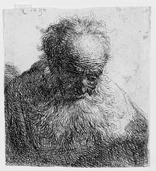 Bust of an old Man with a flowing Beard: The Head bowed forward; Left Shoulder unshaded (B., Holl. 325; H. 27)
