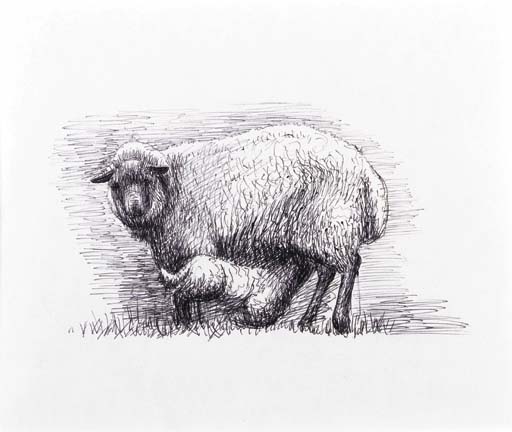 Sheep with Lamb III 
