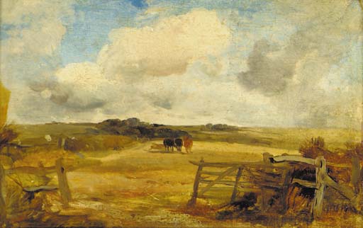 Cattle in an extensive landscape 
