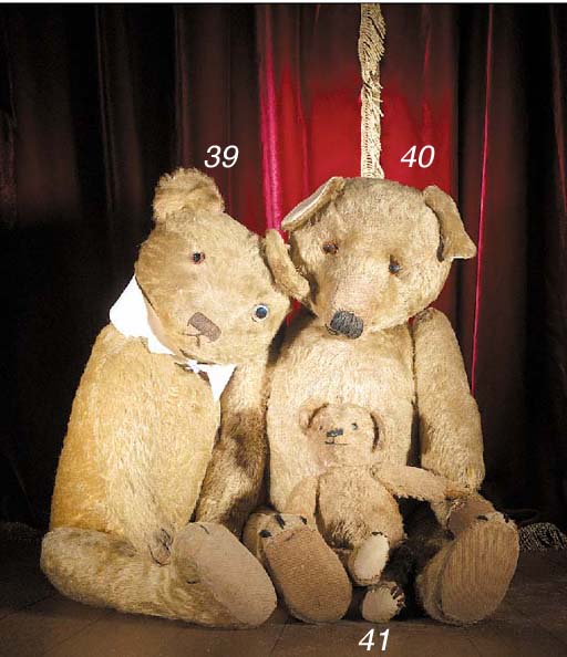 christie's teddy bear puppies
