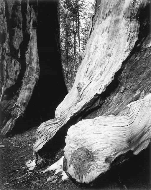 Bruce barnbaum granite falls washington image