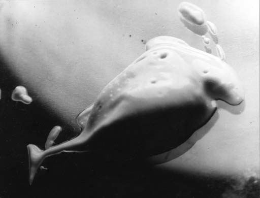 Large Scale Object (Soap) 
