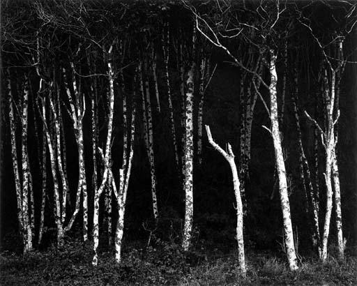 Selected images from Portfolio VI 
