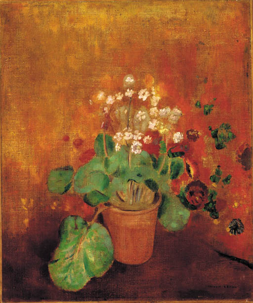 Fleurs en pot sur fond rouge 

