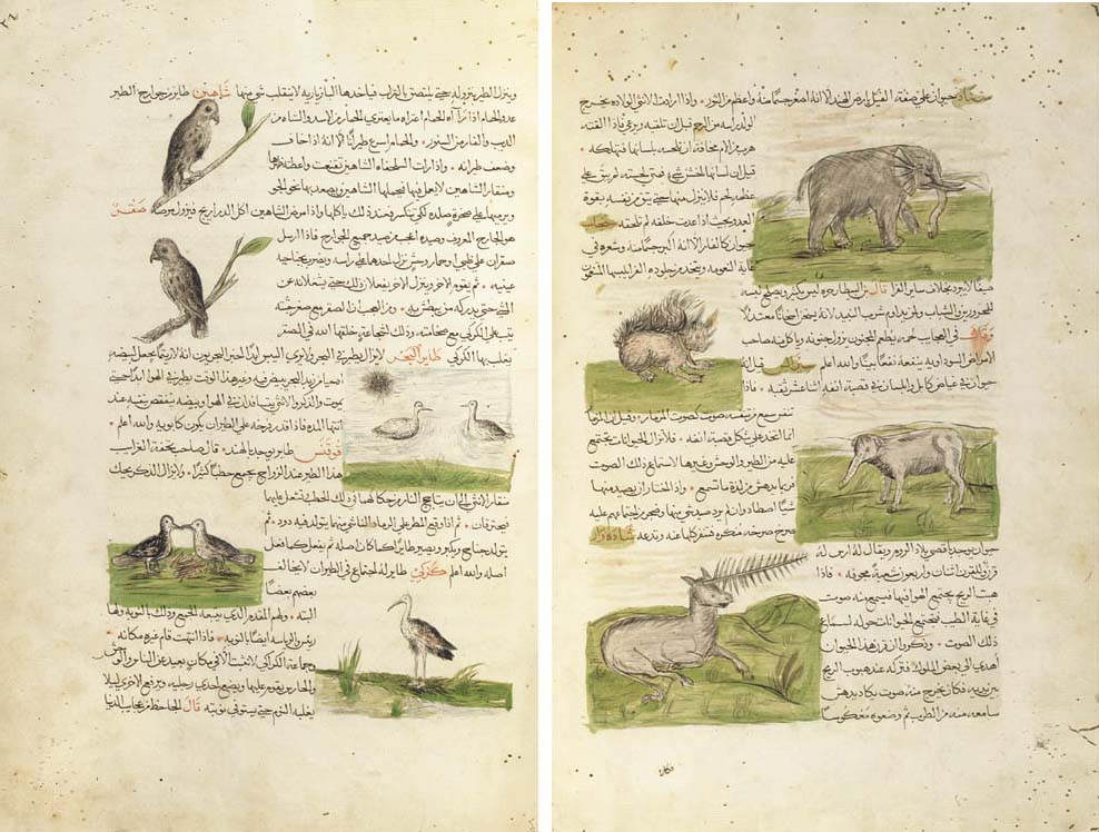 ARZAK 仏語版 メビウス アルザック ARZAK L・ARPENTEURの通販 by まくろまん's