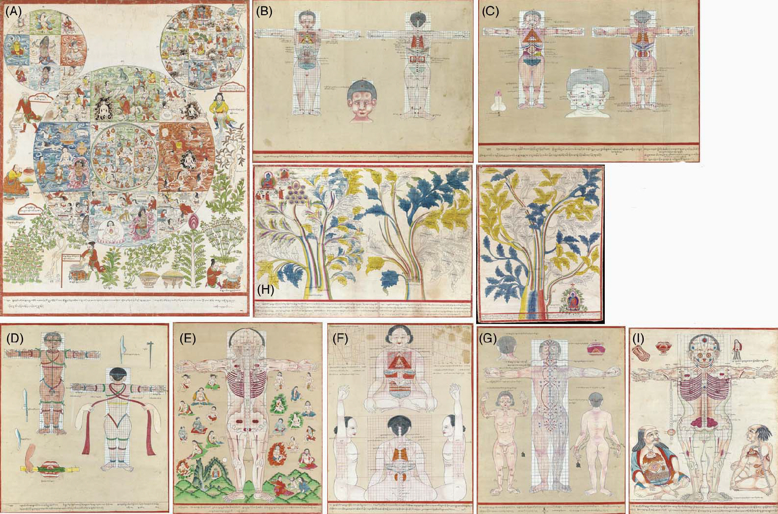 A Set of Medical Paintings from the Blue Beryl Series
