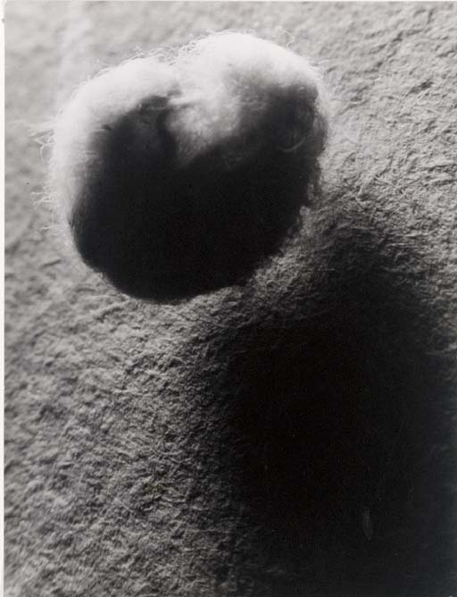Large Scale Object: Cotton 
