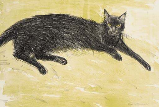 The black cat 

