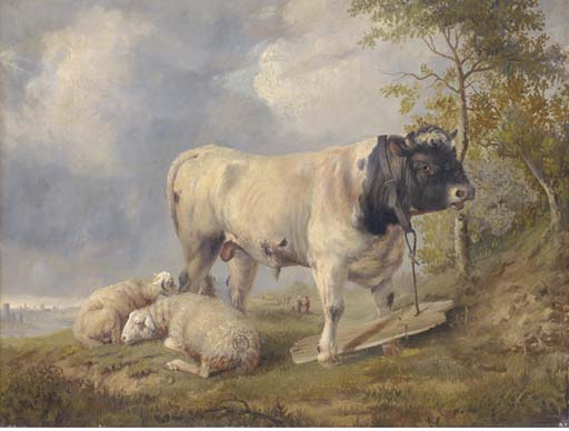 Sheep and a bull in a river landscape 
