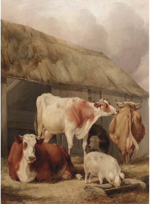 Cattle and a pig in a farmyard 
