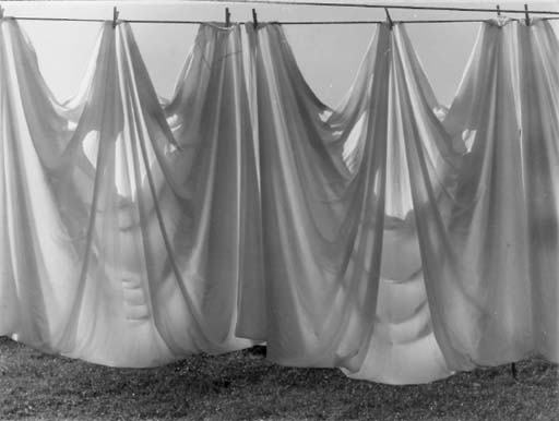 Clothesline 
