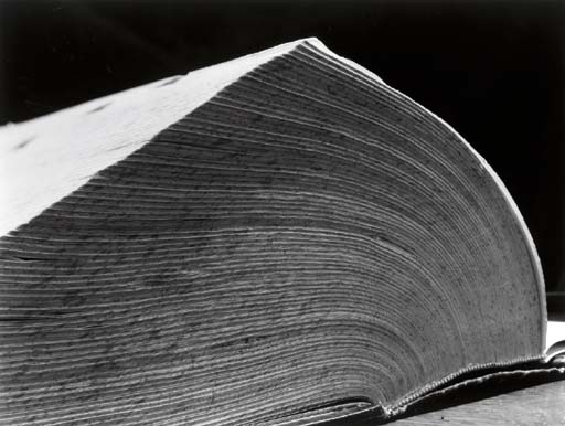 Dictionary 
