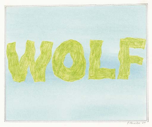 Wolf 
