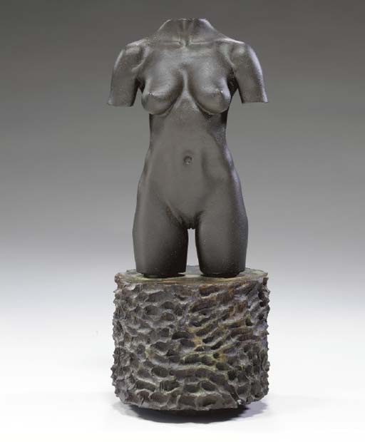 MOCA Torso 
