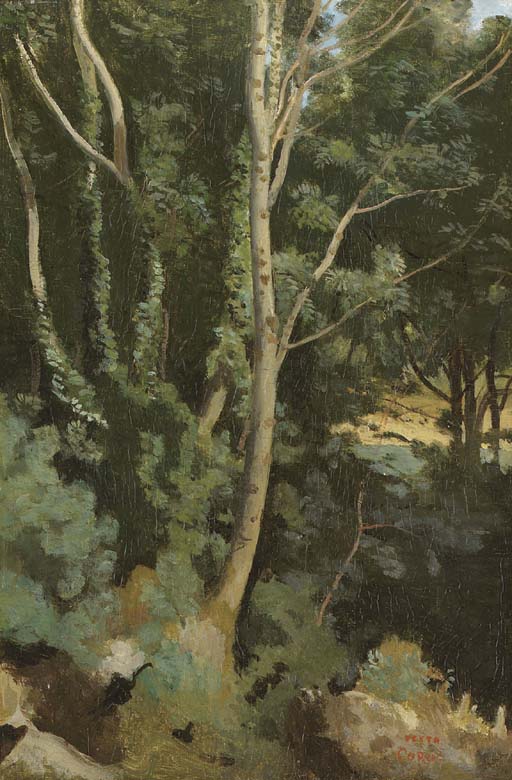 Paysage 
