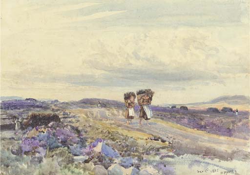 Among the Peat, Skye 
