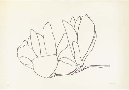 Magnolia (A. 56) 
