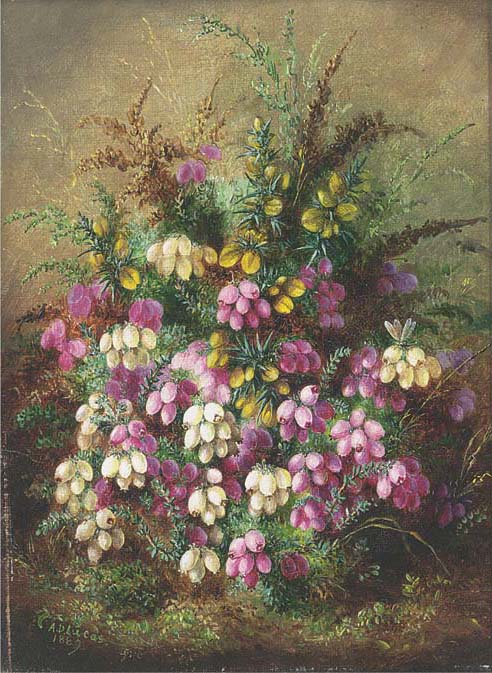 Wild flowers 
