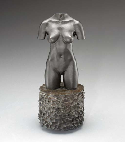 MOCA Torso 
