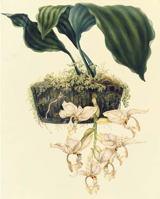 Loddjj essay 06 picture