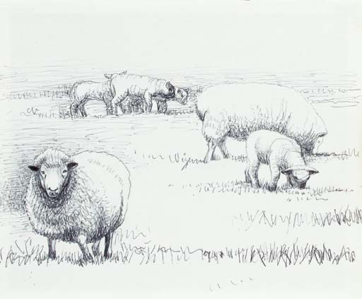 Sheep in Landscape [Sheep Drawing 30] 

