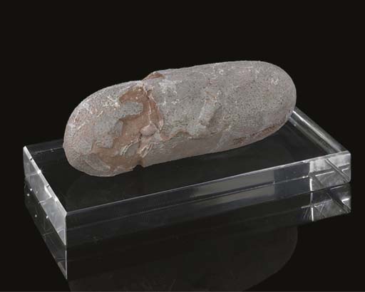 oviraptor nest fossil