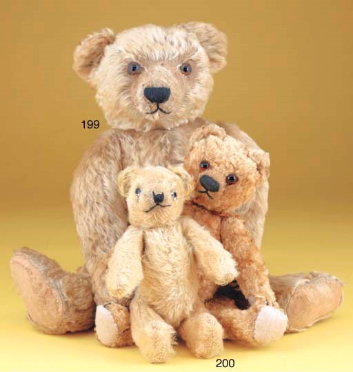 myer teddy