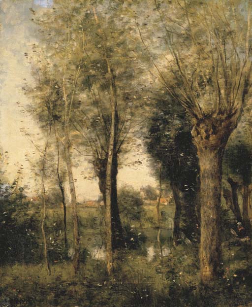 Saulaie à Saint Nicolas près Arras 
