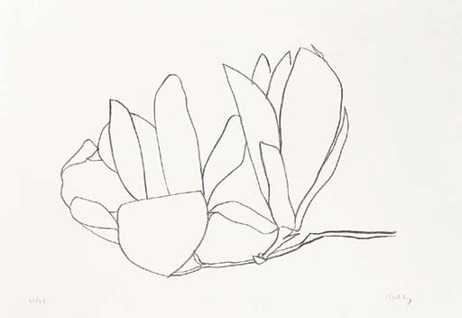 Magnolia (A. 56) 
