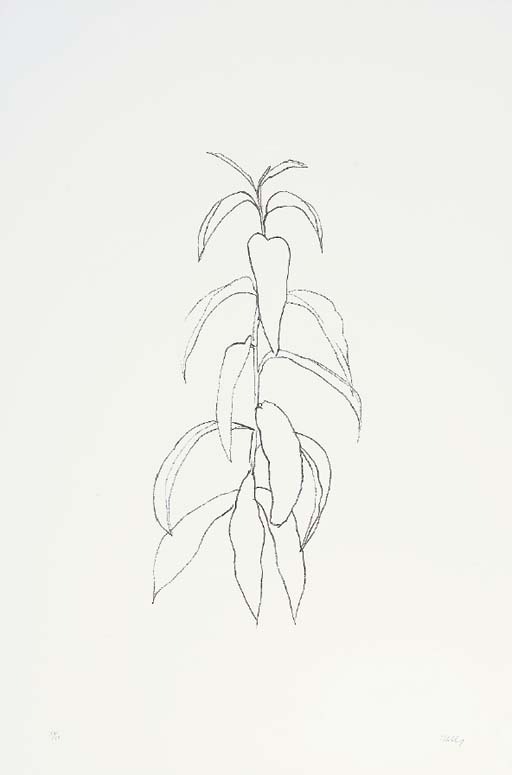 Peach Branch (A. 93) 
