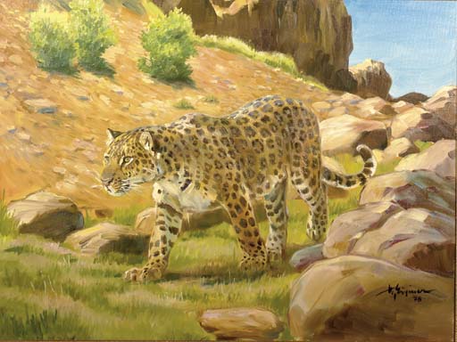 Leopard 

