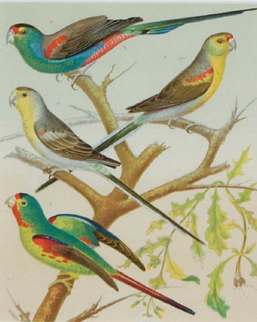 William rutledge essay picture