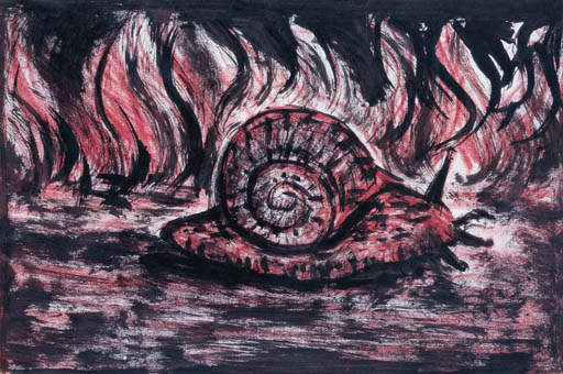 Snail
