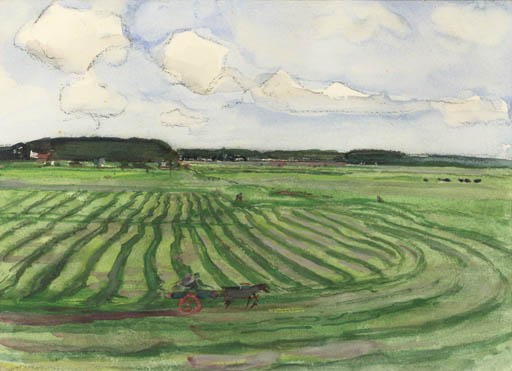 Landscape with mowed field II 
