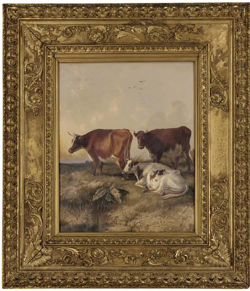 Cattle in a meadow 
