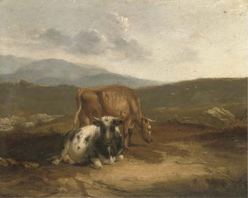 Cattle in an extensive landscape 
