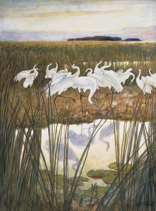 Newell Convers Wyeth 1882 1945 