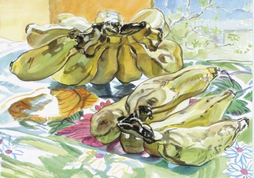 Janet Fish (b. 1938)
