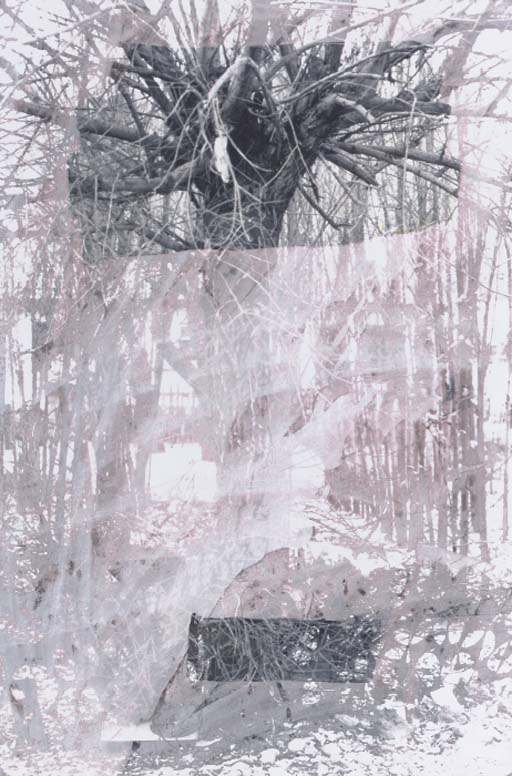 Untitled, 1988 
